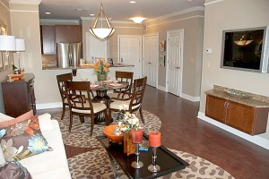 Views at Pomona, Rockland County age 55 and older condos