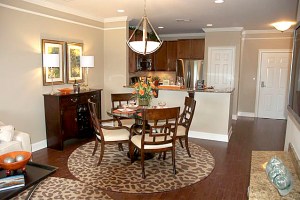 Views at Pomona, Rockland County age 55 and older condos