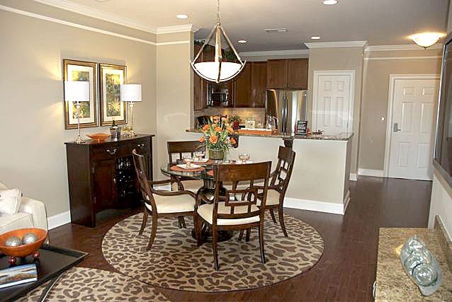 Views at Pomona, Rockland County age 55 and older condos