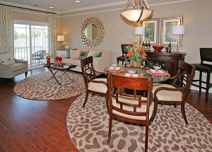 Views at Pomona, Rockland County age 55 and older condos